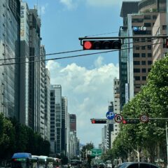 도심 주차 길러졌어요