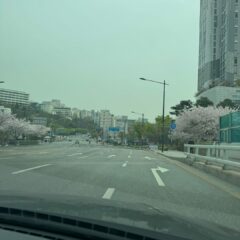 [일산] 초보운전연수 3일 만에 시어머니 혼자 방문한 후기 후기 이미지