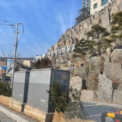 밤 운전 완전 무서웠어요