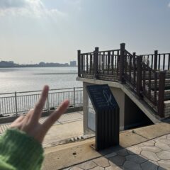 새로운 직장에서 주차 완전 고민